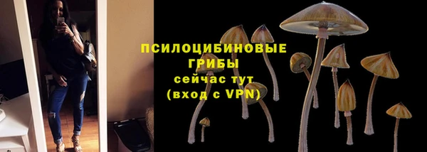 ECSTASY Алзамай