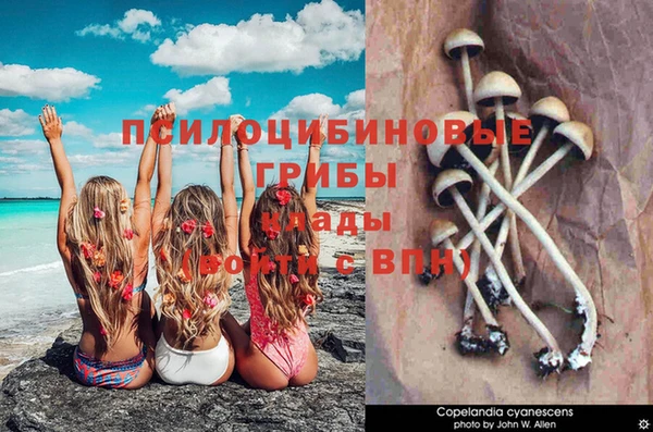 прущие крисы Абдулино