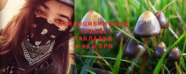 прущие крисы Абдулино