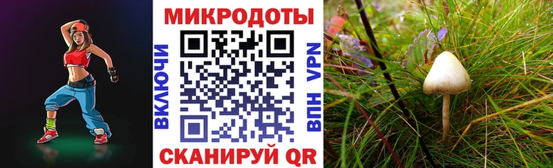 Галлюциногенные грибы GOLDEN TEACHER что такое наркотик гидра вход Галич
